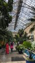 Garden Court, with plants people fountain and glasshouse roof, United States Botanic Garden, United States Capitol, Washington DC