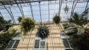Garden Court, with plants and glasshouse roof, hanging plants, United States Botanic Garden, United States Capitol, Washington DC