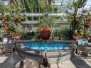 Mediterranean House, plants and small pool with flowing water, United States Botanic Garden, United States Capitol, Washington DC