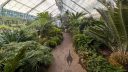 Primeval Garden House, ferns and cycads, United States Botanic Garden, United States Capitol, Washington DC